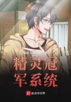 Wizard Champion System