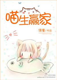 meow winner